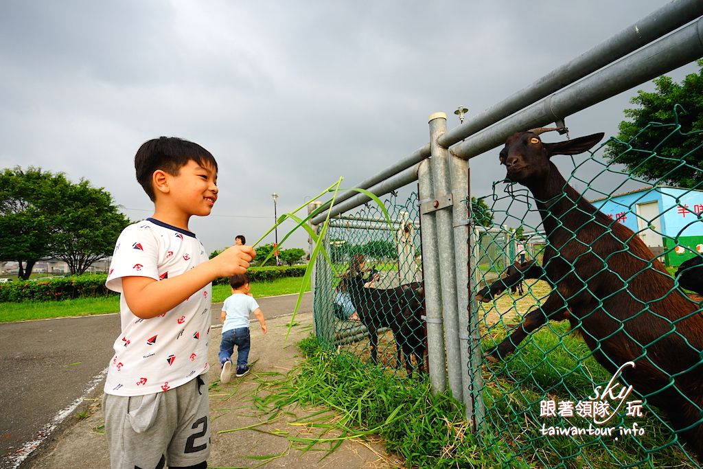 台北景點推薦 疏洪荷花公園 三重親子旅遊免費餵羊咩咩 跟著領隊sky玩 一日遊 美食 親子 景點 住宿