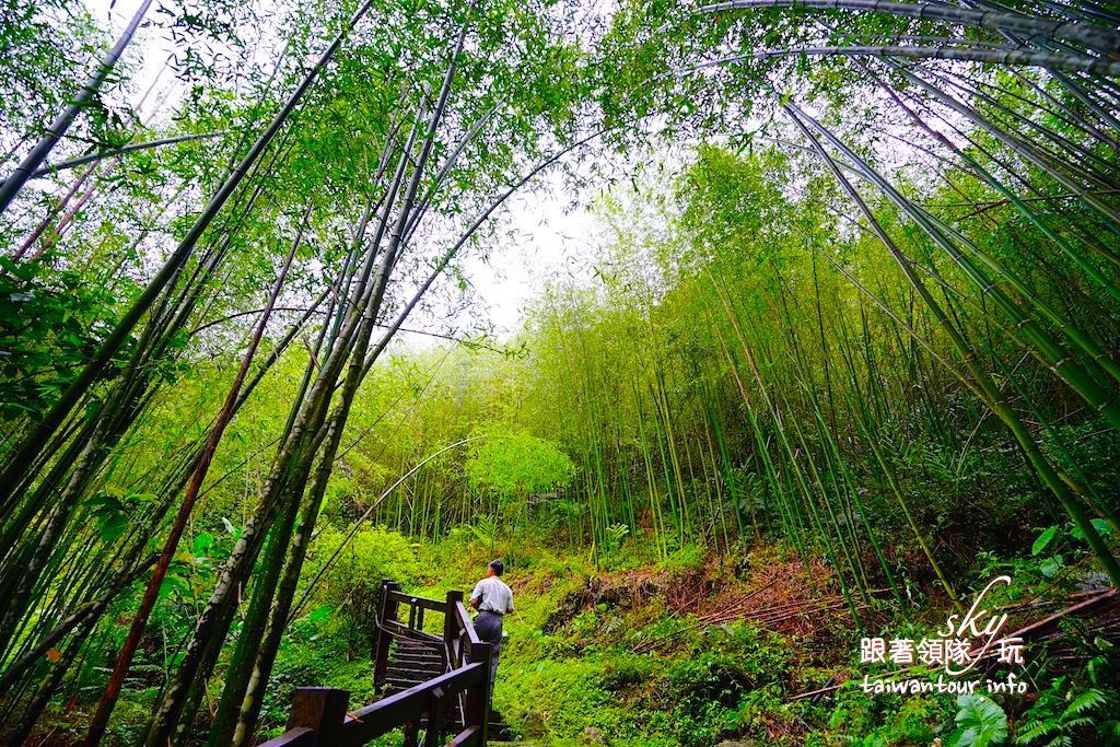 嘉義景點推薦 圓潭自然生態園區步道 竹崎私房阿里山 跟著領隊sky玩 一日遊 美食 親子 景點 住宿