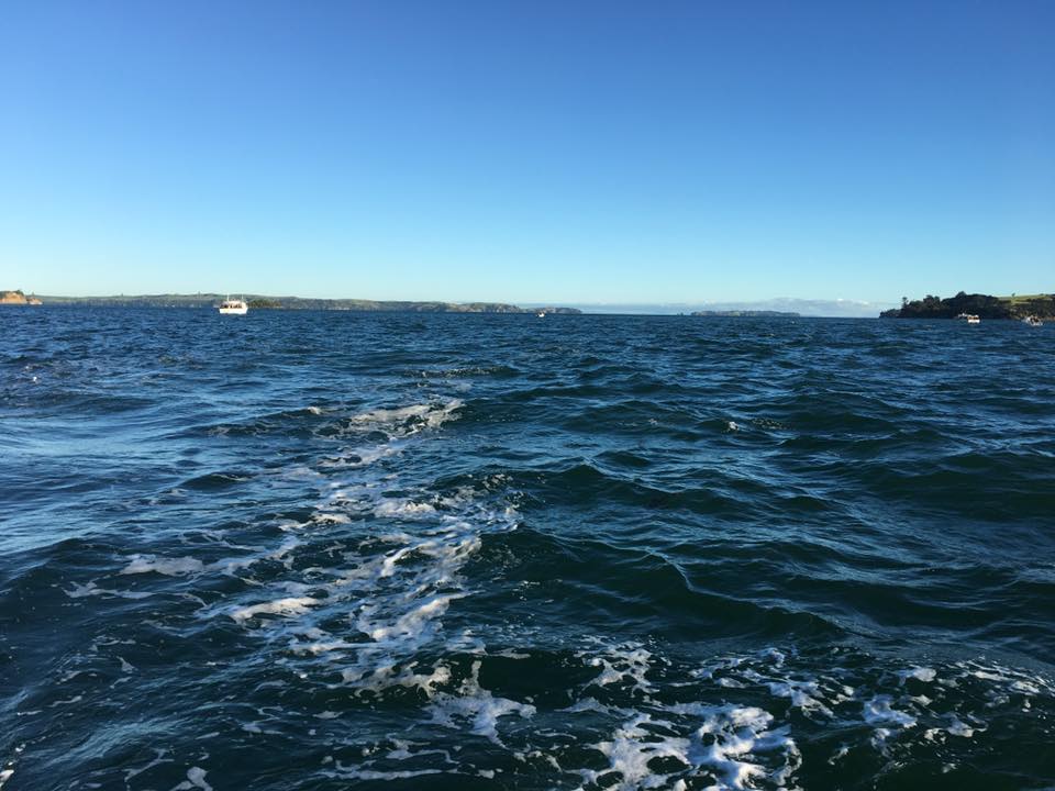 紐西蘭景點推薦-奧克蘭(Auckland)最佳釣場【NZ fishing Safaris n Auckland fishing charter】