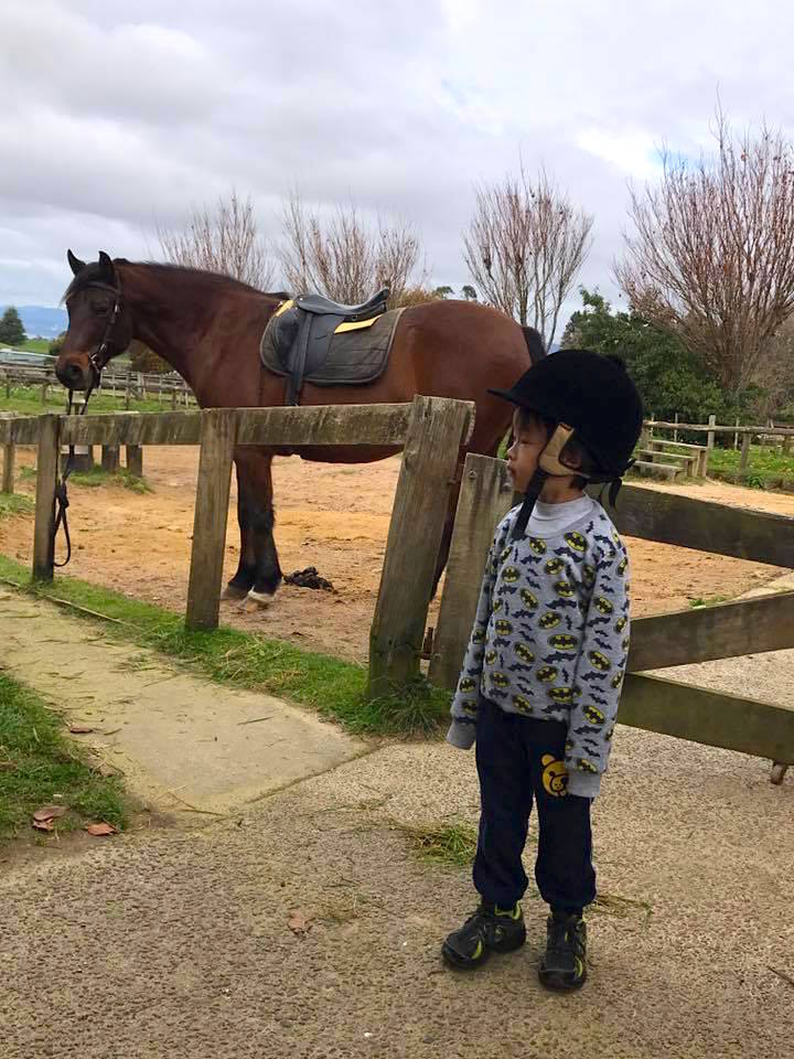 紐西蘭景點推薦-羅托魯瓦Rotorua最大馬場【The farmhouse Rotorua】