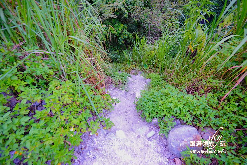 【時雨/彩虹瀑布】花蓮推薦秀林秘境景點