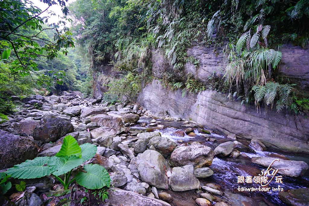 【時雨/彩虹瀑布】花蓮推薦秀林秘境景點