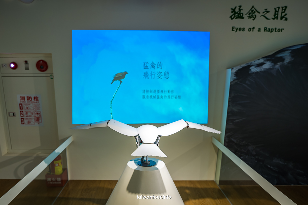 【觀音山猛禽展示館】VR互動親子旅遊景點.美食