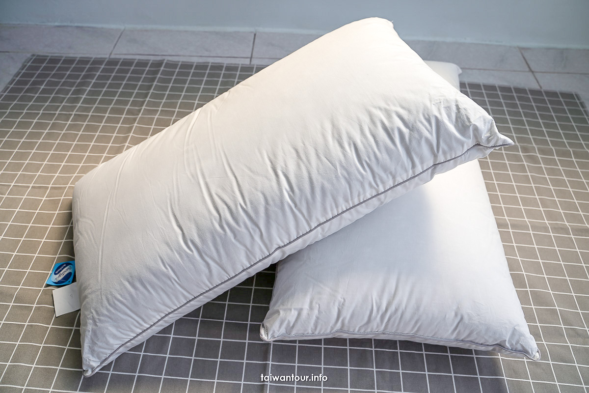 【德瑞克】抗菌防蟎竹炭枕.枕頭保潔墊.超適合過敏體質