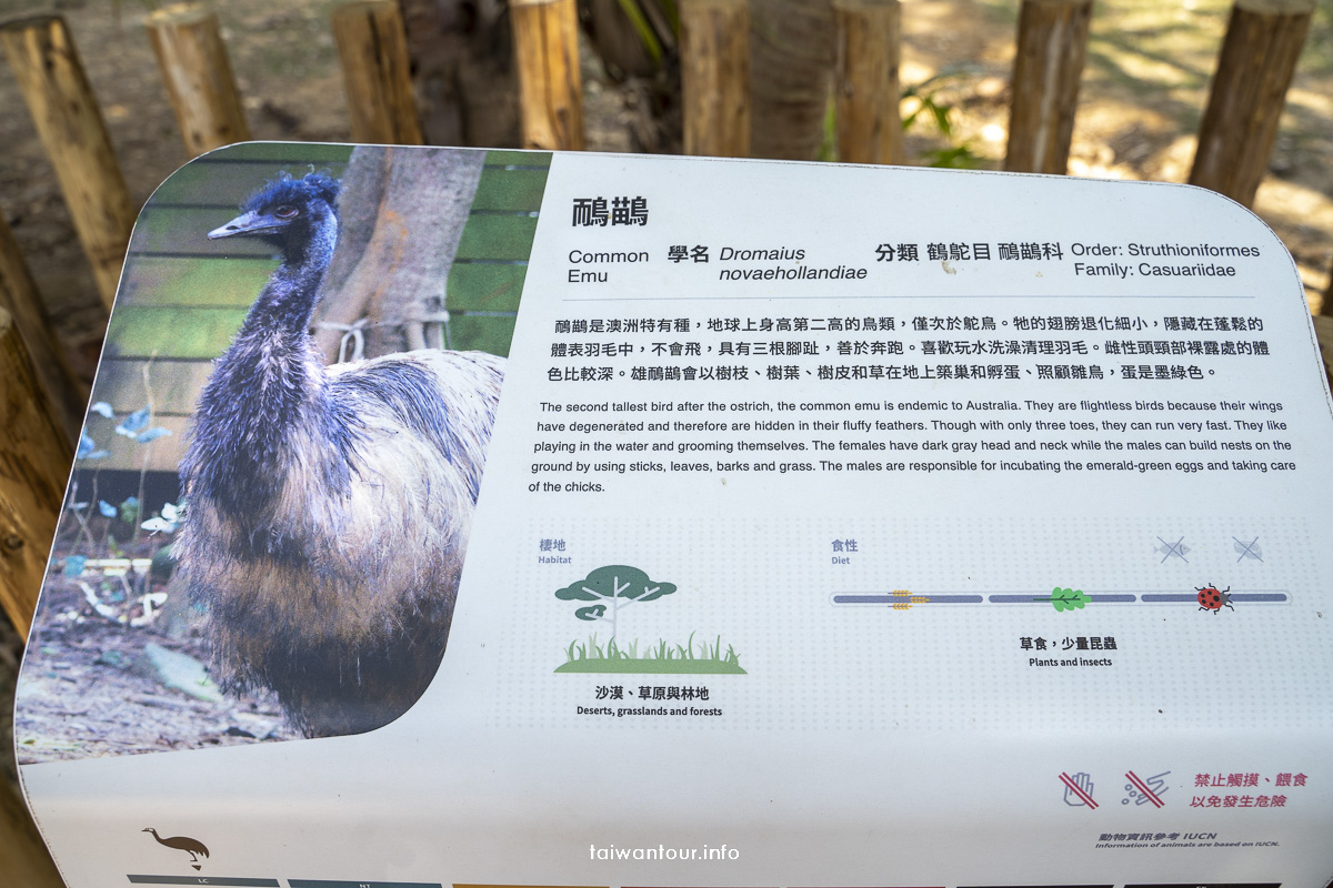 【新竹市動物園】親子景點旅遊推薦.交通.周邊美食