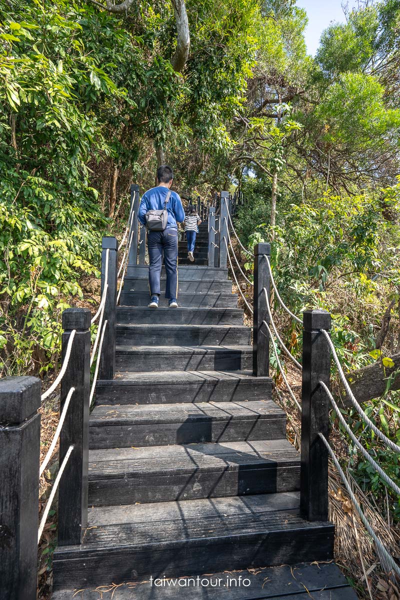 【風動石森林體驗空間】台中大坑八號登山步道特色親子公園