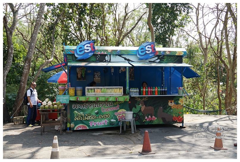 泰國親子旅遊綠山動物園kheow kheow00145
