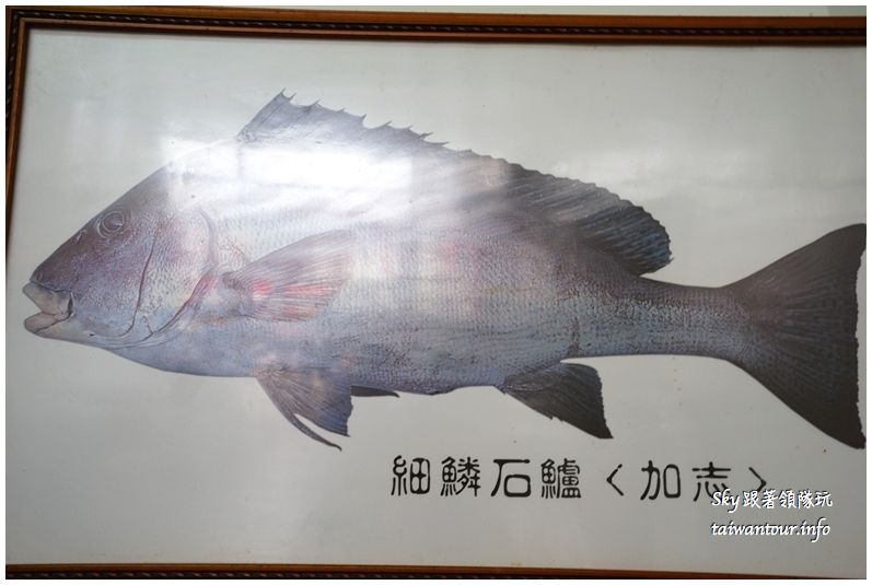 澎湖美食推薦加志魚麵DSC02812